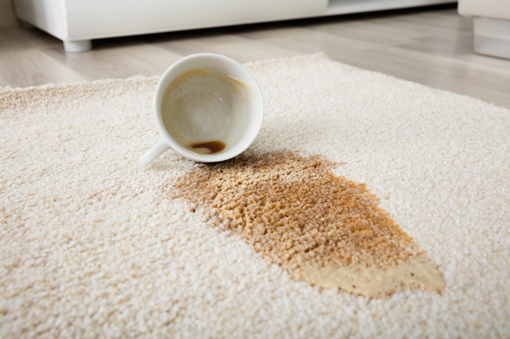 How much does carpet cleaning cost in Brisbane