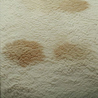 Carpet Stain Removal Brisbane