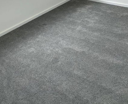Best Carpet Cleaning Service in Buderim