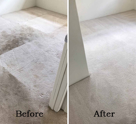 Carpet Cleaning Before After 1