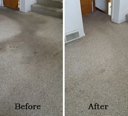 Carpet Cleaning Before After 3