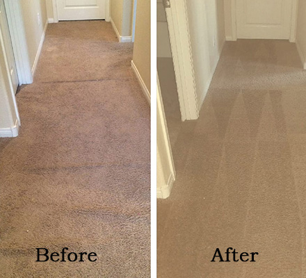Carpet Cleaning Before After 5