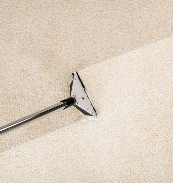 Carpet Cleaning Buderim Services