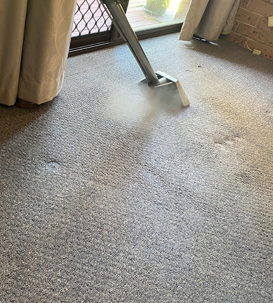 Carpet Cleaning Wynnum Services