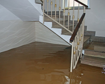 Flood Damage Restoration Brisbane