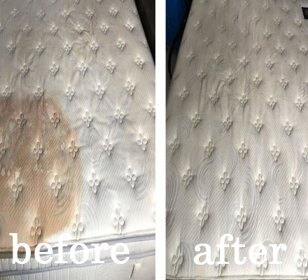 Mattress Cleaning Before After