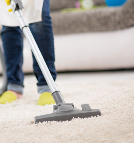 Carpet Cleaning Services In Pimpama