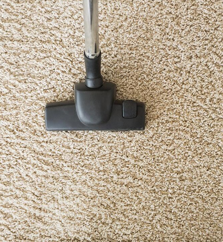 Expert Carpet Cleaning Solutions In Caboolture