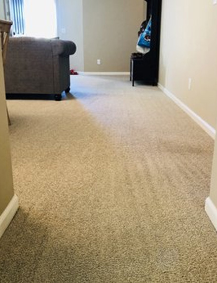 Carpet Cleaning in Gold Coast