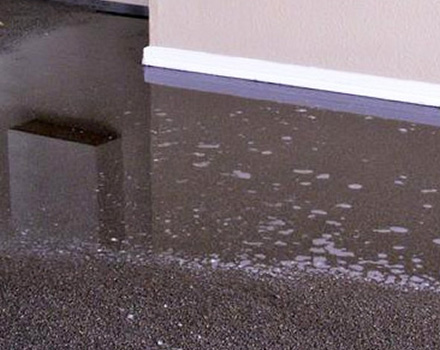 Water Damage Carpet Restoration