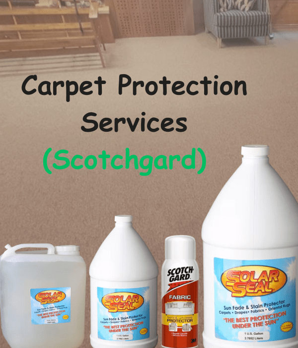Carpet Protection Services (Scotchgard)
