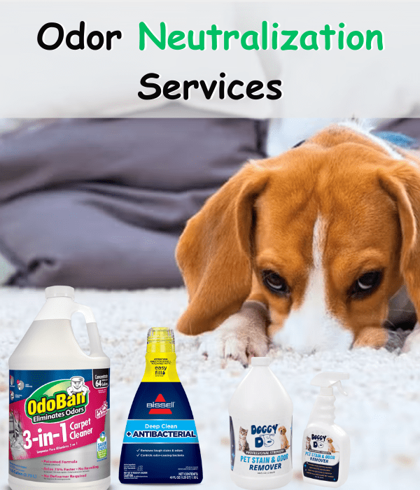 Odor Neutralization Services