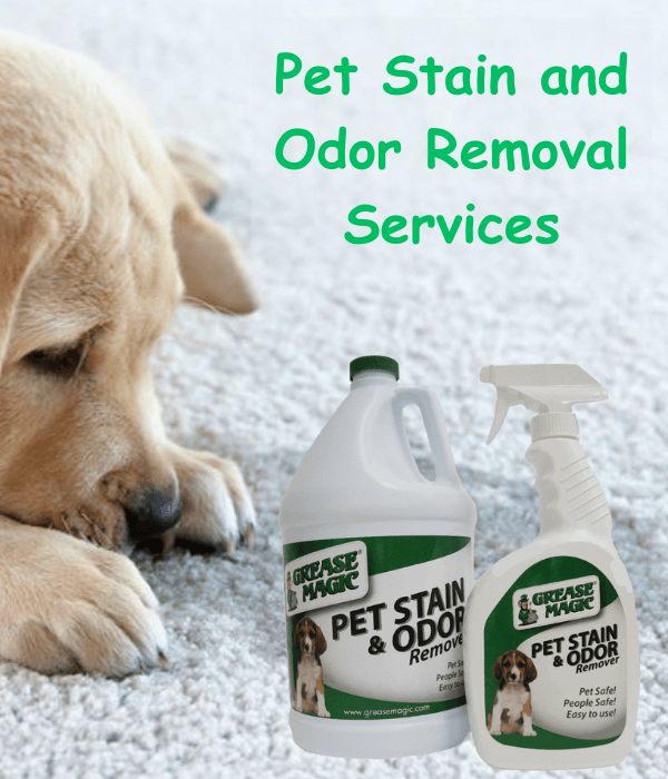 Pet Stain and Odor Removal Services