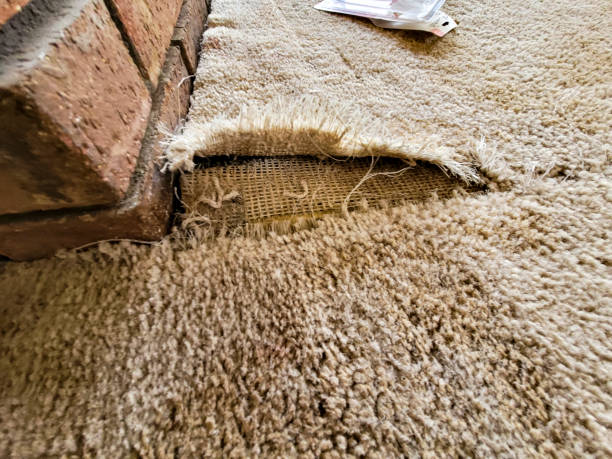 Carpet Repair Ipswich