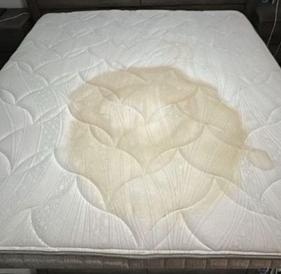 Mattress Sweat And Urine Stain Removal